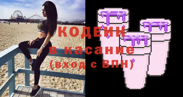 хмурый Алзамай