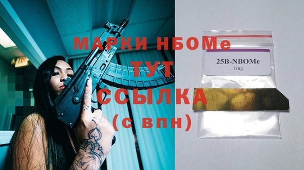 хмурый Алзамай