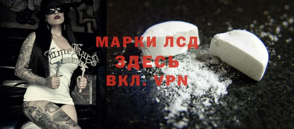 хмурый Алзамай