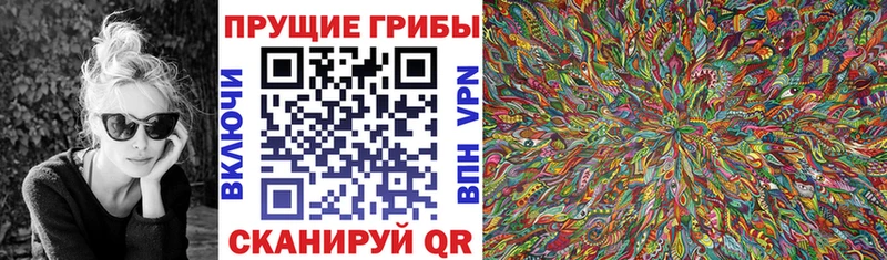 Галлюциногенные грибы Psilocybine cubensis  купить   Тосно 